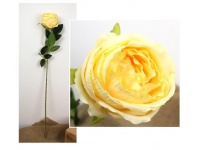 Kwiat RÓŻA wys. 70 cm (główka 9 cm) SZAMPAN