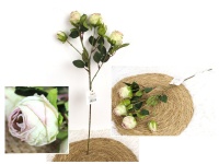 Kwiat RÓŻA zasuszona wys. 50 cm (3 kwiaty 4,5x4 cm, 3 pąki 4x2,5 cm) LIMONKOWO-RÓŻOWA