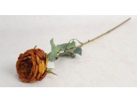 Kwiat RÓŻA zasuszona wys. 64 cm (kwiat 9x5 cm) RUDA
