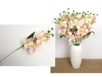 Kwiat STORCZYK łodyga wys.42 cm (6 kwiatów 3,5-7 cm) BIAŁO RÓŻOWY