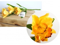 Kwiat STORCZYK , ORCHIDEA wys. 38 cm (3 kwiaty 12 cm) ŻÓŁTY