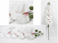 Kwiat STORCZYK silikonowy 3D PRINT 80 cm (9 kwiatów 11-9 cm) biały z różowym środkiem