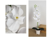 Kwiat STORCZYK silikonowy w plastikowej doniczce wys. 58 cm (7 kwiatrów 11-7 cm) BIAŁY