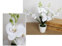 Kwiat STORCZYK silikonowy w plastikowej doniczce wys. 40 cm, 5 łodyg (20 kwiatów 8-6 cm) BIAŁY