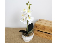 Kwiat STORCZYK silikonowy w plastikowej doniczce wys. 30 cm (5 kwiatów 7 cm) BIAŁY