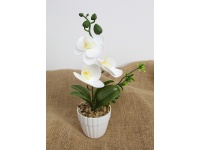 Kwiat STORCZYK w plastikowej doniczce wys. 26 cm (3 główki silikonowe 6,5x3 cm) BIAŁY
