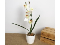 Kwiat STORCZYK silikonowy w plastikowej doniczce wys. 43 cm (5 kwiatów9 cm) BIAŁY z CZERWONYM środkiem