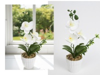 Kwiat STORCZYK w plastikowej doniczce wys. 26 cm (3 główki silikonowe 6,5x3 cm) BIAŁY