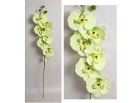 Kwiat STORCZYK wys. 75 cm (6 kwiatów 10 cm) LIMONKOWY