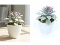 Kwiat Sukulent w doniczce 13,5x7,5 cm ZIELONY