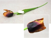 Kwiat TULIPAN 3D Print wys. 53 cm (kwiat 6x5 cm) FIOLETOWO-RUDY