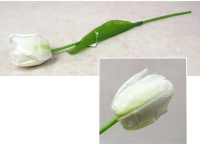 Kwiat TULIPAN 3D Print wys. 53 cm (kwiat 6x5 cm) BIAŁO-LIMONKOWY