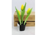 Kwiat TULIPAN gumowy w doniczce 23 cm, 3 kwiaty ŻÓŁTY