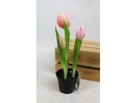 Kwiat TULIPAN gumowy w doniczce 24 cm (3 kwiaty) RÓŻOWY
