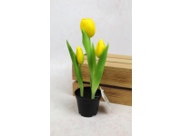 Kwiat TULIPAN gumowy w doniczce 24 cm (3 kwiaty) ŻÓŁTY