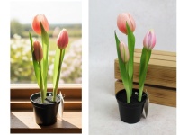 Kwiat TULIPAN gumowy w doniczce 24 cm (3 kwiaty) RÓŻOWY