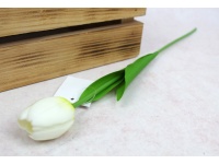 Kwiat TULIPAN gumowy wys. 41 cm (kwiat 4,5x3,5 cm) BIAŁY limonkowy dół