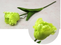 Kwiat TULIPAN Papuzi wys. 40 cm (kwiat 6x5 cm) ZIELONY - 1 szt