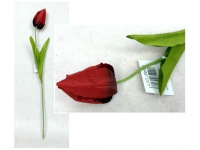 Kwiat TULIPAN wys. 49 cm (kwiat 7,5x4 cm) CZERWONY