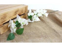 Kwiat BUGENWILLA wys. 76 cm (kwiat 7x1 cm) BIAŁY