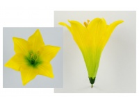 Lilia - główka satyna 16x13 cm #171 - ŻÓŁTO-ZIELONA