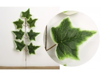 Liść 1-ramienny BLUSZCZ wys. 54 cm ZIELONY z białym brzegiem