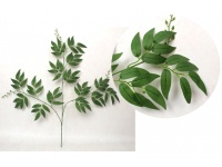Liść 3-ramienny RUSKUS 65 cm - 1 szt