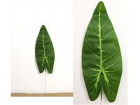 Liść ALOKAZJA 50x13 cm ciemno ZIELONY