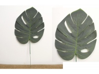Liść MONSTERA 40x20 cm SZARO ZIELONY