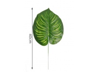 Liść pojedynczy MONSTERA 40x20 cm ZIELONY cieniowany - 1 szt
