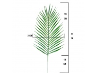 Liść pojedynczy PAPROĆ 53x21 cm ZIELONA