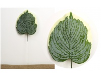 Liść POTHOS 46x17 cm ZIELONY