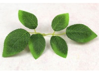 Liść RÓŻA z widocznymi żebrami gałązka 5 liści 22 cm (liść 7,5x4,5 cm; 6x4 cm) ZIELONY  - 10 szt