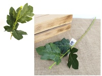 Łodyga CHRYZANTEMA, 3 liście wys. 58 cm ZIELONA - rezerwacja