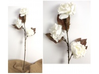 mp Kwiat RÓŻA piankowa zasuszona wys. 80 cm (3 kwiaty 10-12 cm) BIAŁA