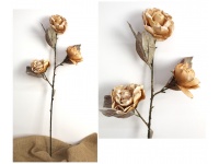 mp Kwiat RÓŻA piankowa zasuszona wys. 80 cm (3 kwiaty 10-12 cm)  KARMELOWA