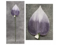 mp Liść SERCE piankowy wys. 80 cm (liść 23x17 cm) FIOLETOWY CIEMNY