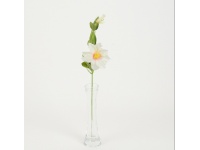 Powojnik wys. 56 cm (główka 12 cm) KREMOWY #08