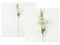 Powojnik wys. 56 cm (główka 12 cm) B15 BIAŁY Z RÓŻOWYM ŚRODKIEM #05A