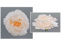 Róża główka 14x8 cm BRZOSKWINIOWA JASNA #06 - 1 szt