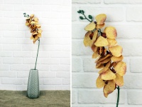 Storczyk 3D łodyga 90 cm 8 kwiatów 10 cm - HERBACIANY 10
