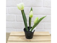 z TULIPAN gumowy w doniczce 3 kwiaty 22 cm - LIMONKOWO-BIAŁY