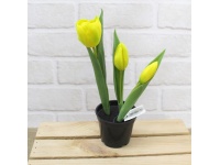 z TULIPAN gumowy w doniczce 3 kwiaty 22 cm - ŻÓŁTY