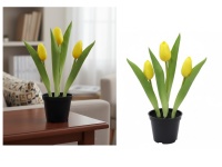 TULIPAN gumowy w doniczce 3 pąki 22 cm - ŻÓŁTY